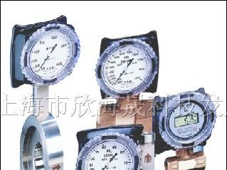 供应美国RCM流量计