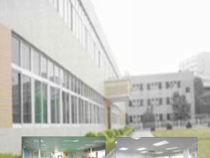 供应音频单声道磁头