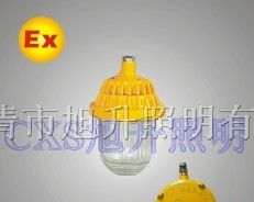 供应CBPC8720防爆平台灯