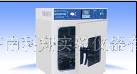 供应济南电热恒温培养箱