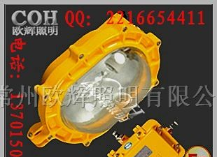 供应BFC8120内。外场防爆泛光灯