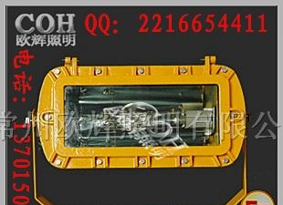 BFC8110防爆泛光灯_内场防爆泛光灯