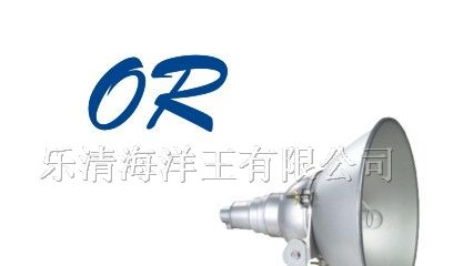 供应照明灯具海洋王NTC9210防震型投光灯