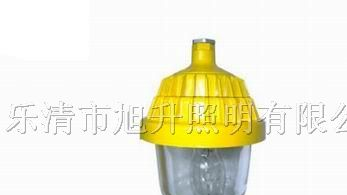 防爆平台灯,防爆灯