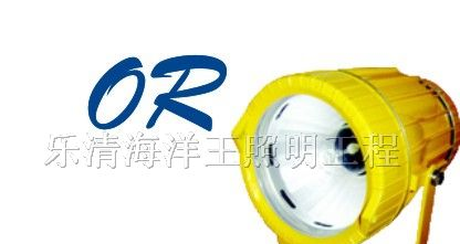 供应海洋王照明,海洋王,BTC8200,防爆投光灯