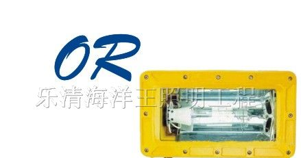 供应海洋王,BFC8100,乐清海洋王，防爆强光泛光灯