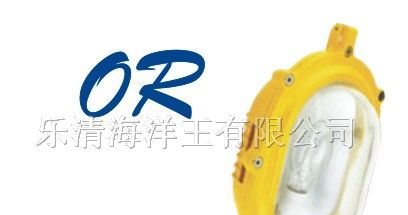 供应台州温岭海洋王，BFE8120，内场防爆应急灯