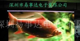 供应P12.5室内全彩LED显示屏 单双色LED显示屏