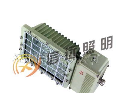 供应XY-BTC6131 厂用防爆泛光灯(路灯)