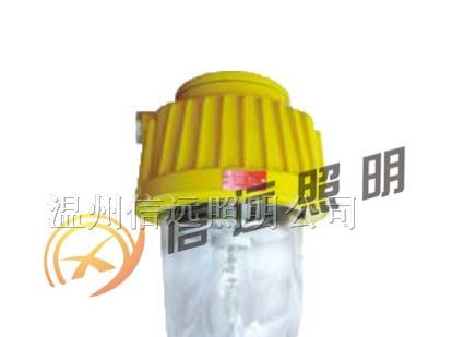 供应防爆平台灯 BPC8730
