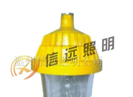供应防爆平台灯 BPC8720