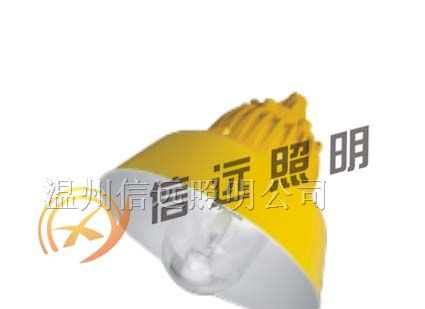 供应防爆平台灯 BPC8700