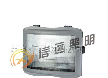 供应XY-NSE9720防眩应急通路灯