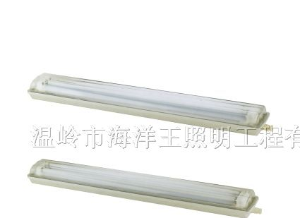 供应OR-BCX6225粉尘防爆荧光灯 海洋王
