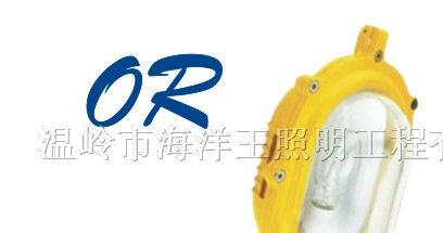 供应海洋王BFE8120内场防爆应急灯 灯具照明