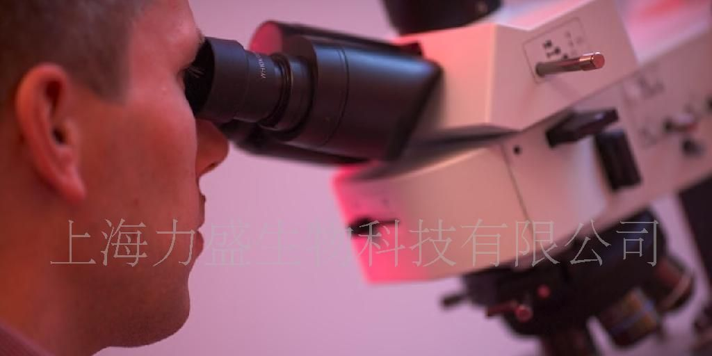 供应瑞典FPC性能卓越品质保证指纹识别传感器