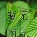 GLZ-1250/4J转换负荷隔离开关