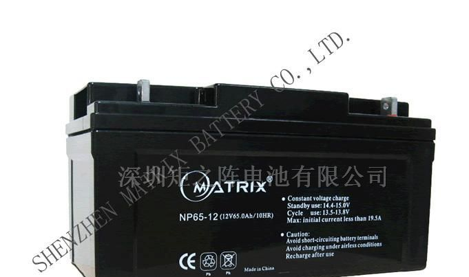 ups不间断电源电池厂12V65Ah