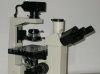 供应倒置生物显微镜37XB