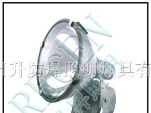 供应ZT6900防水防尘防震投光灯