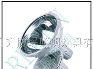 供应ZT6910防水防尘防震投光灯