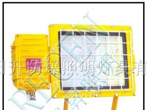 供应BTC6150防爆泛光灯
