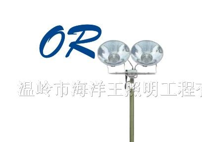供应温岭海洋王SFW6110(C型)全方位自动泛光工作灯