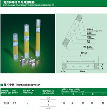 高压防爆开关专用熔断器 RN2PT(图)