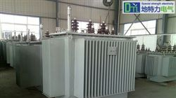 供应10KV油浸式变压器  电力变压器 电力变压器