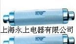 供应XRNP系列电压互感器保护用熔断