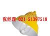 BPC8700 防爆平台灯 BPC8700