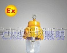 供应CBPC8730防爆平台灯