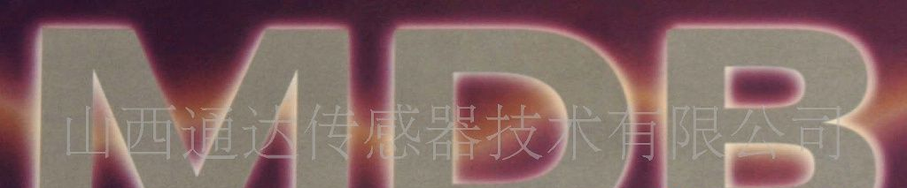 美国VISHAY称重传感器/美国世铨称重传感器MD