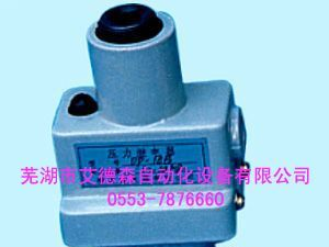 DP-10、DP-25、DP-40压力继电器