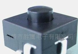 现货供应手电筒按钮开关 3开1关， 2开2关， 2