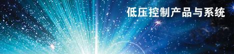 SIEMENS/西门子快速熔断器3NE10210