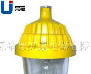 8720防爆平台灯