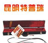 供应WZPB-标准铂电阻温度计