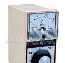 供应温度指示调节仪TDA-8001/0-300℃
