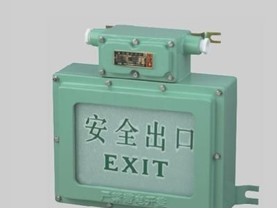 供应BYY9-20系列防爆标志灯 防爆安全出口 防