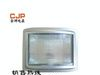 NSE9720 NSC9720防眩应急通路灯