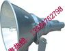NTC9200防震型投光灯“NTC92
