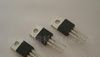 供应场效应管（功率MOSFET）CS10N60