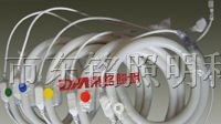 供应LED柔性霓虹灯