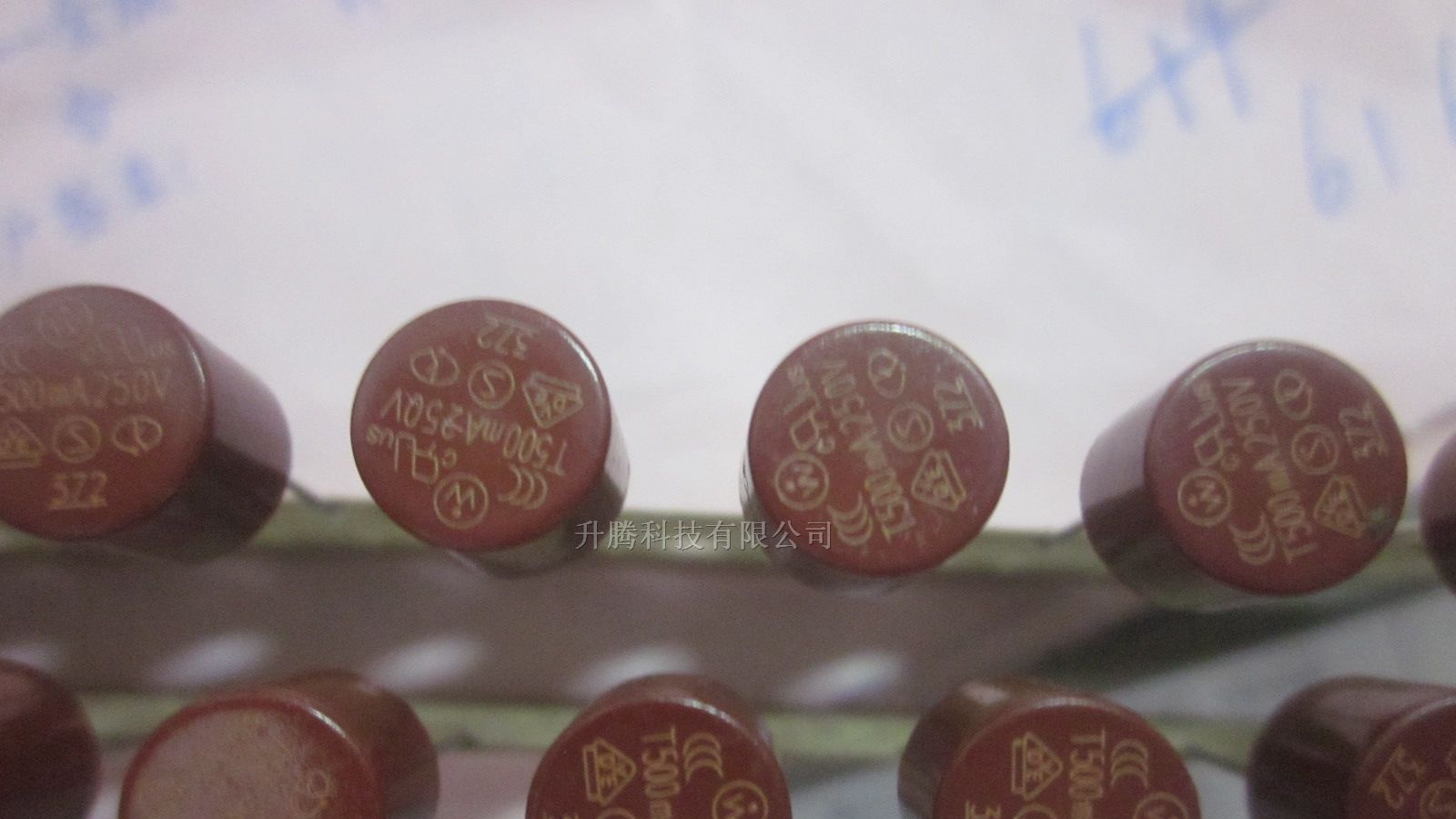 供应圆柱保险丝500MA250V