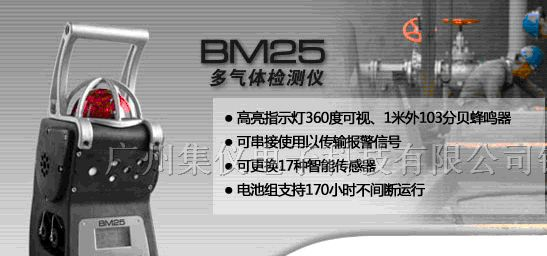 供应美国英思科BM25复合式气体检测仪