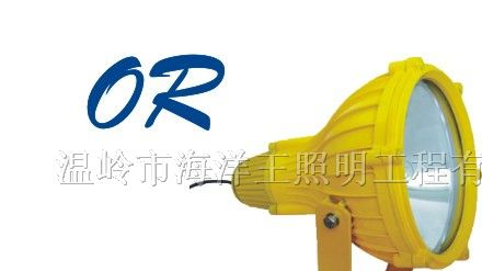 供应海洋王/BTC8210防爆投光灯/J250/J400