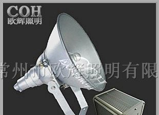 NTC9210防震投光灯_防震投光灯_防震高亮度投光灯