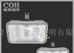 NFC9175长寿无极顶灯,无极长寿顶,节能吸顶灯