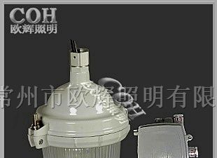 NFC9112防眩泛光灯,防水防震泛光灯,泛光照明灯